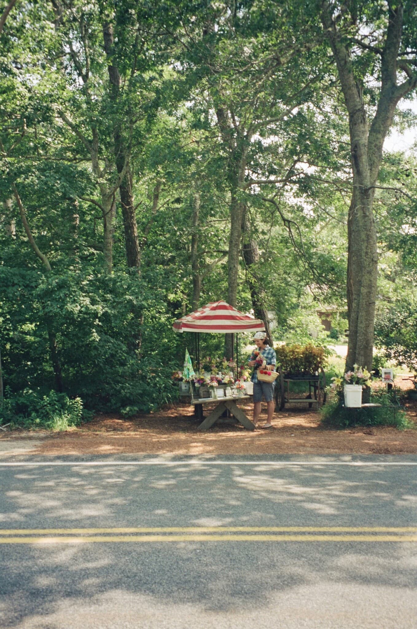 Film photograph by Ella Thibodeau, shot on Kodak Ektacolor Pro 800