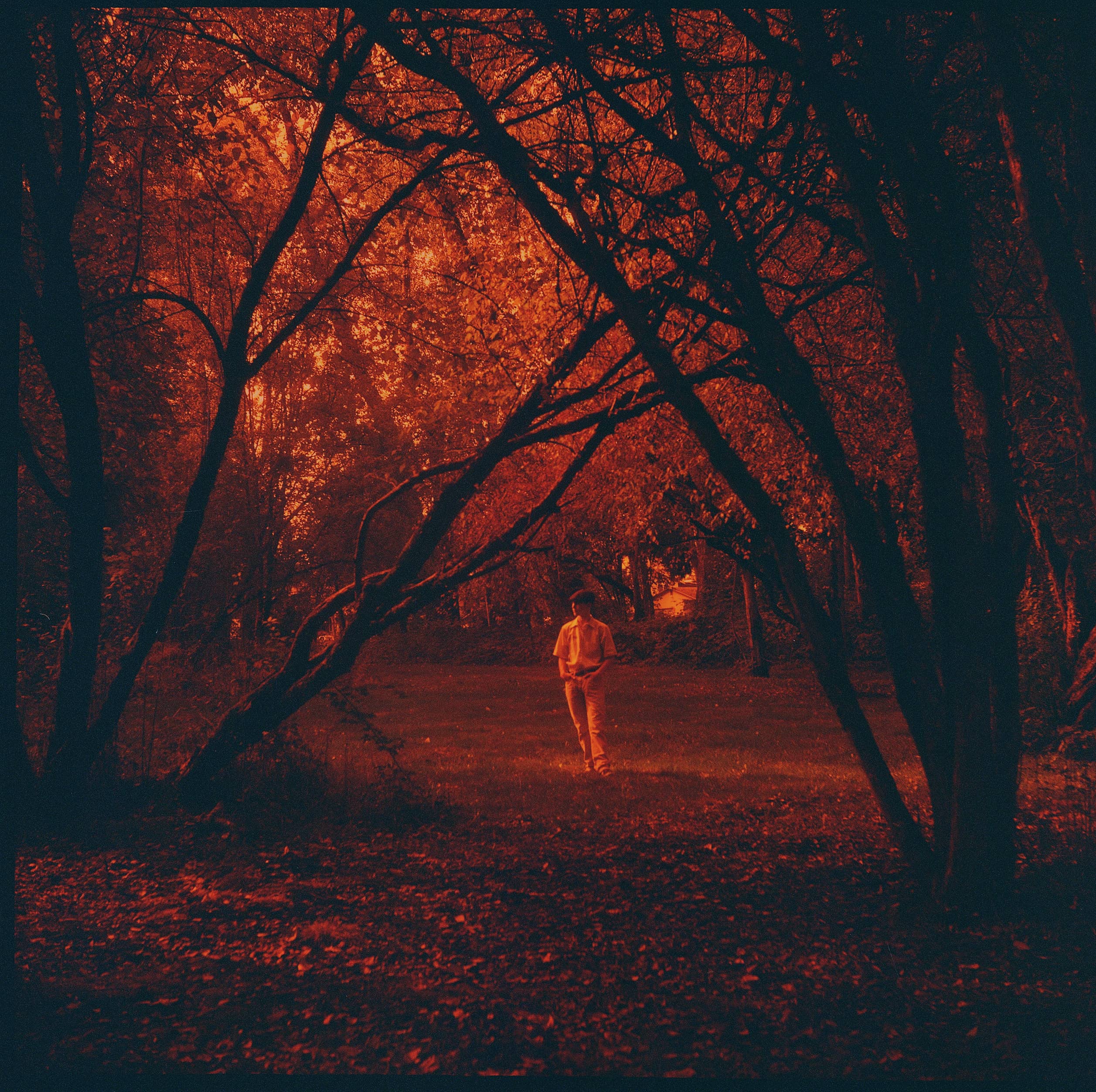 Film photograph by Jesse Beecher, shot on Kodak ColorPlus 200