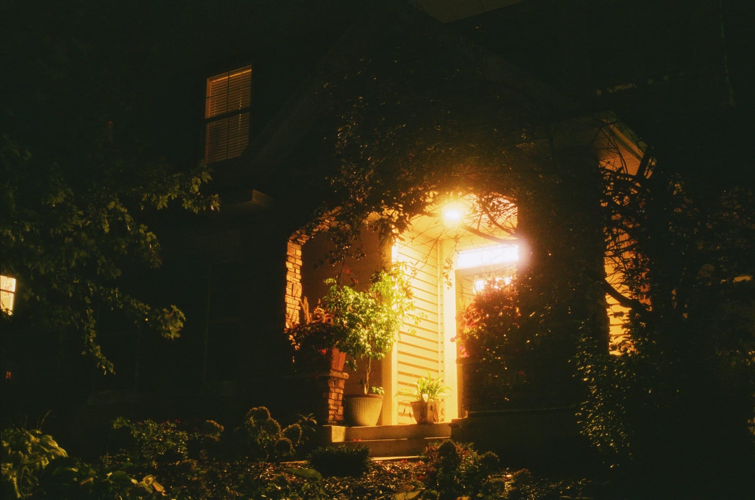 Film photograph by Austin Zhang, shot on Lomography Color Negative 800