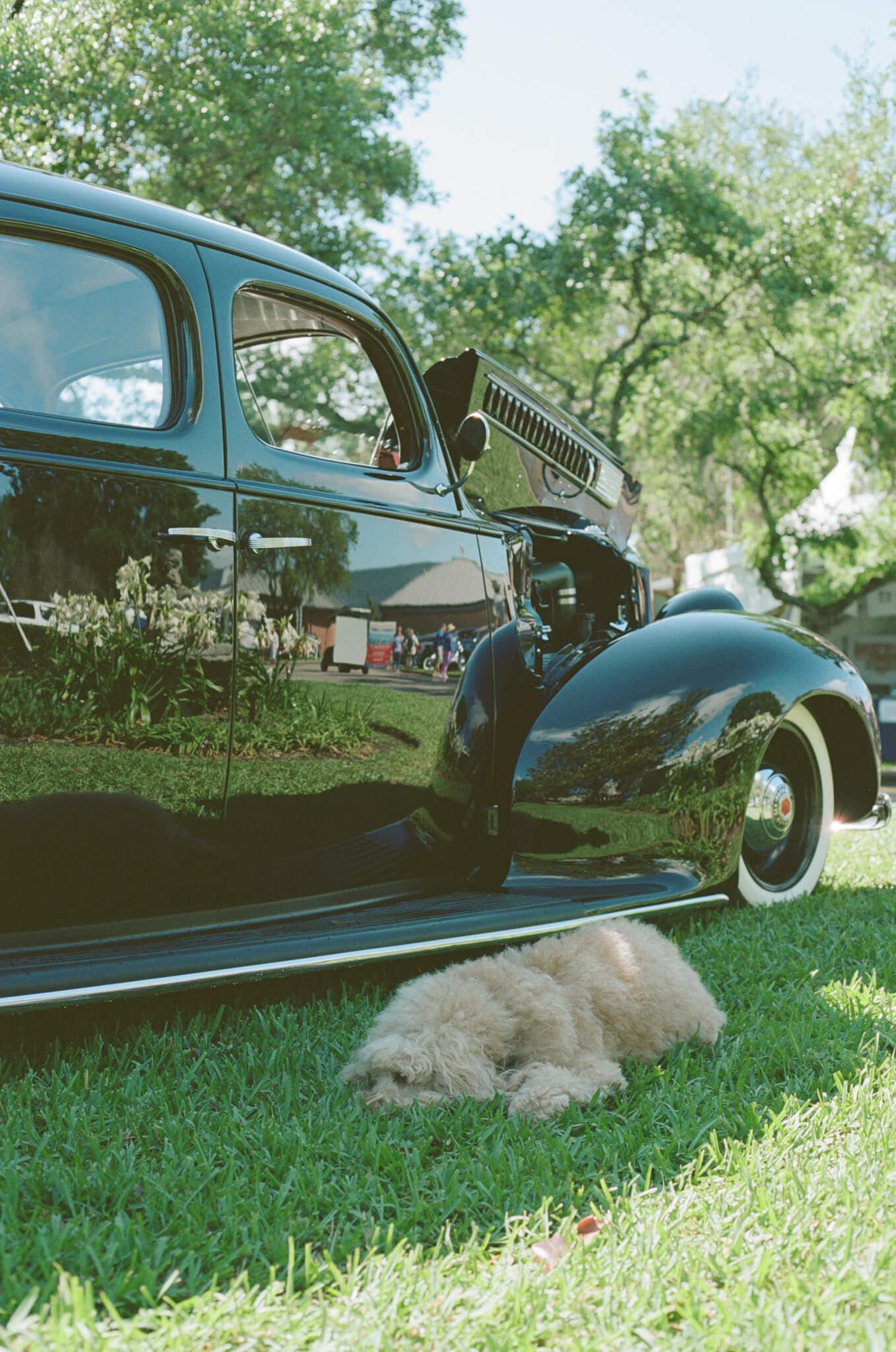 Film photograph by Ian Tieman, shot on Kodak Portra 160