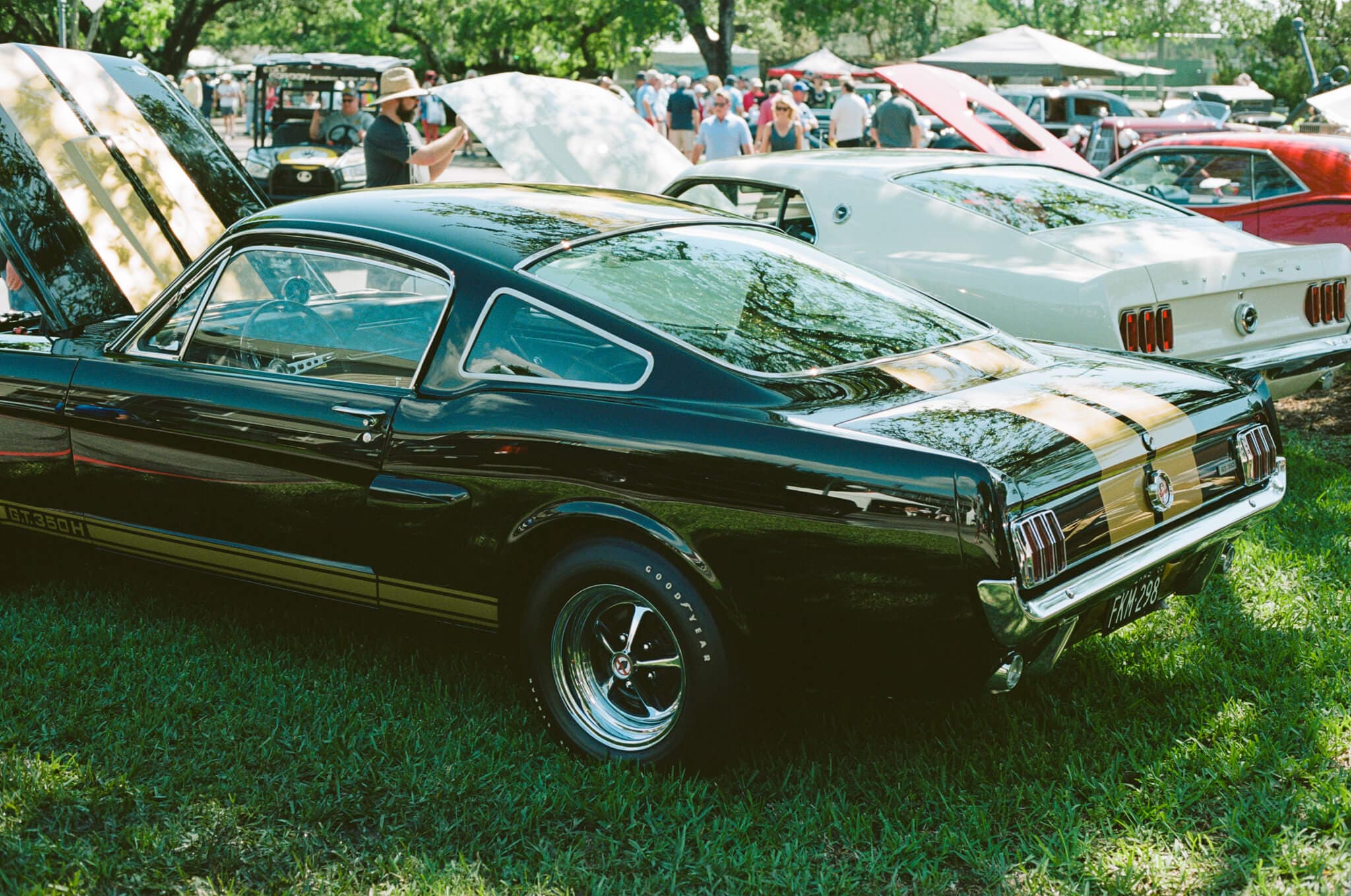 Film photograph by Ian Tieman, shot on Kodak Portra 160
