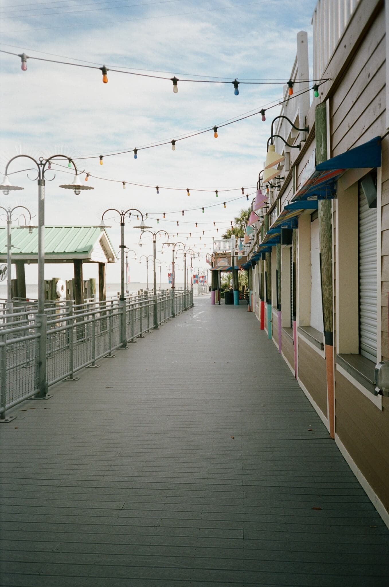 Film photograph by Ian Tieman, shot on Kodak Portra 160