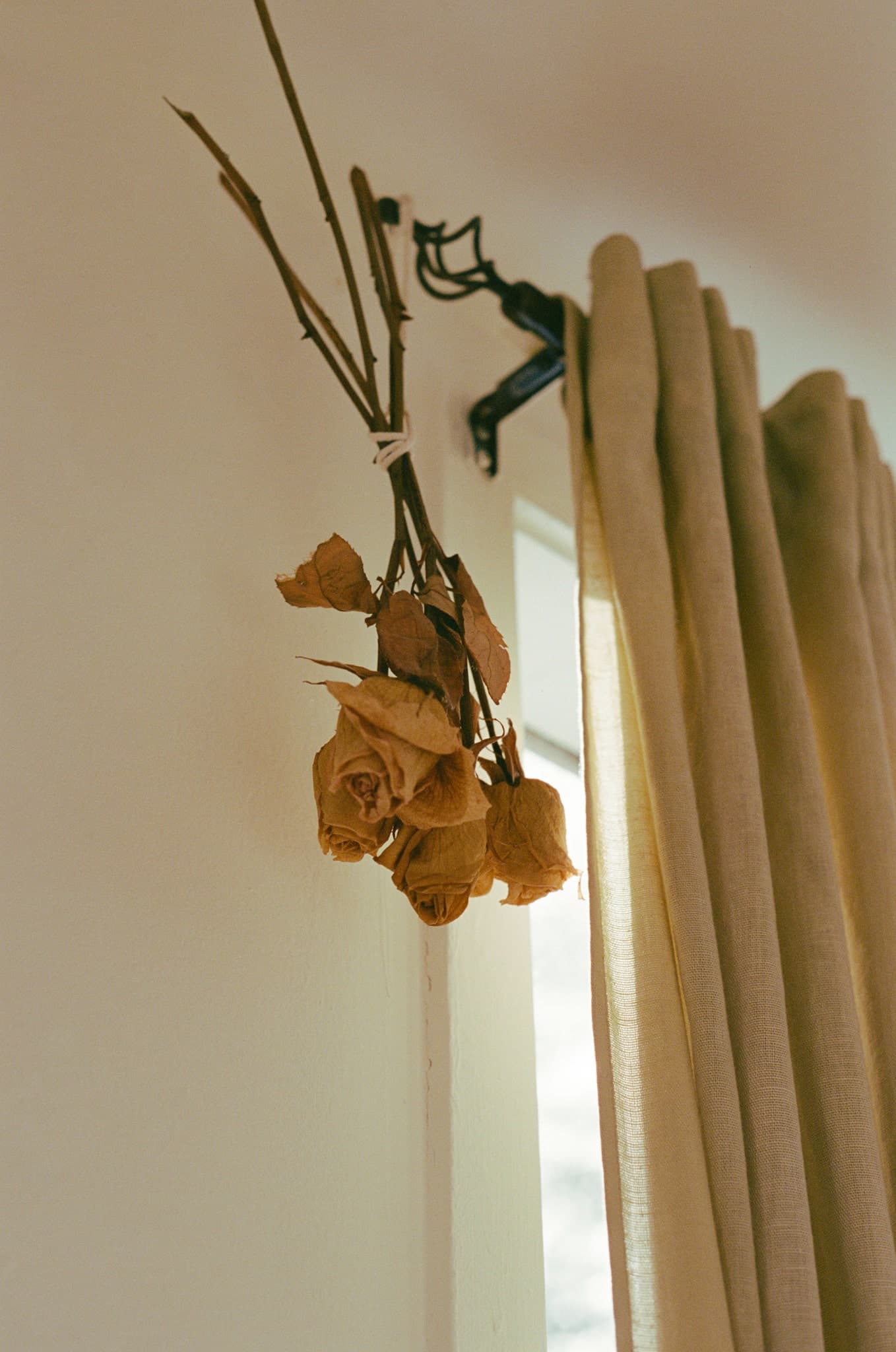 Film photograph by Paige Trubatch, shot on Kodak Ektacolor Pro 400