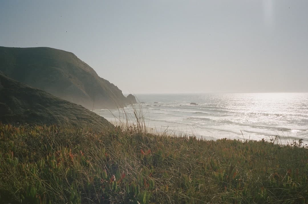Film photograph by Katie Higgins, shot on Kodak Ektacolor Pro 400