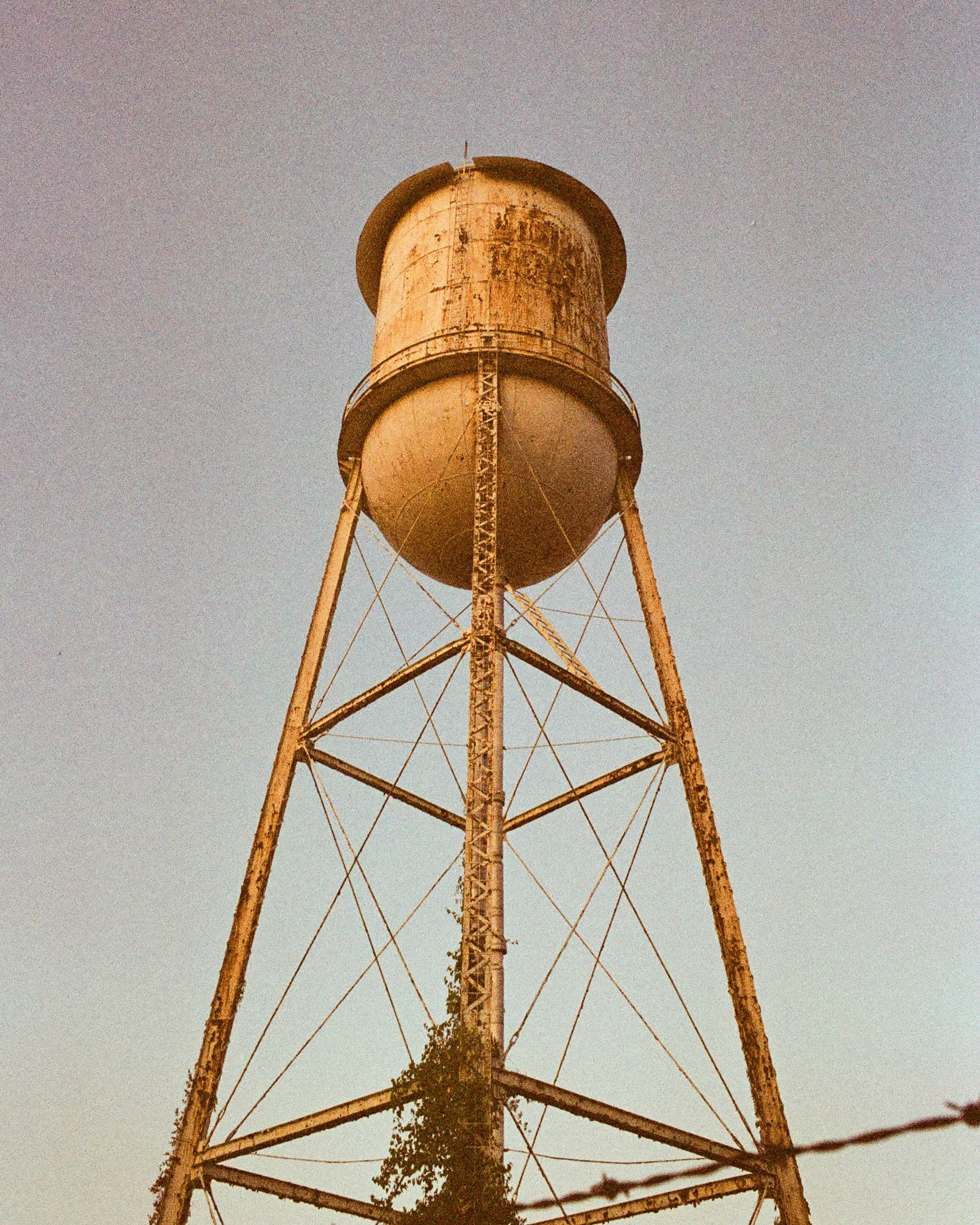 Film photograph by Graham Stauffer, shot on Kodak Gold 200