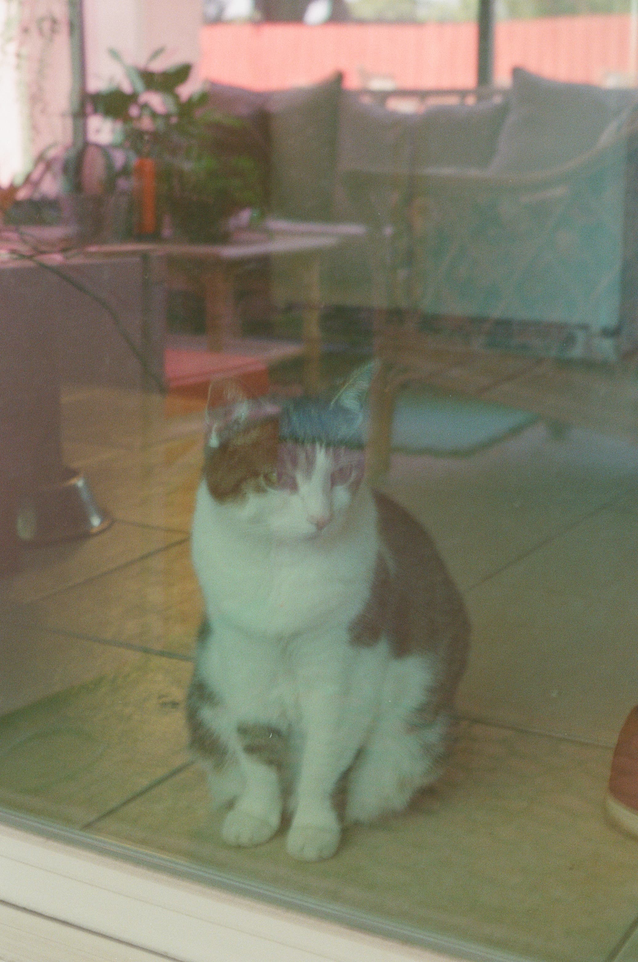 Slide 2 top right image