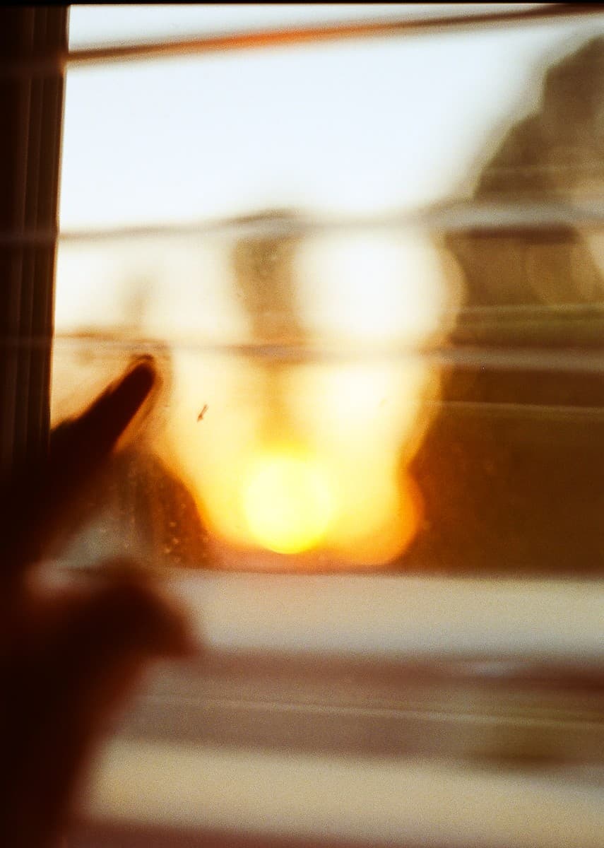 Film photograph by June Ku