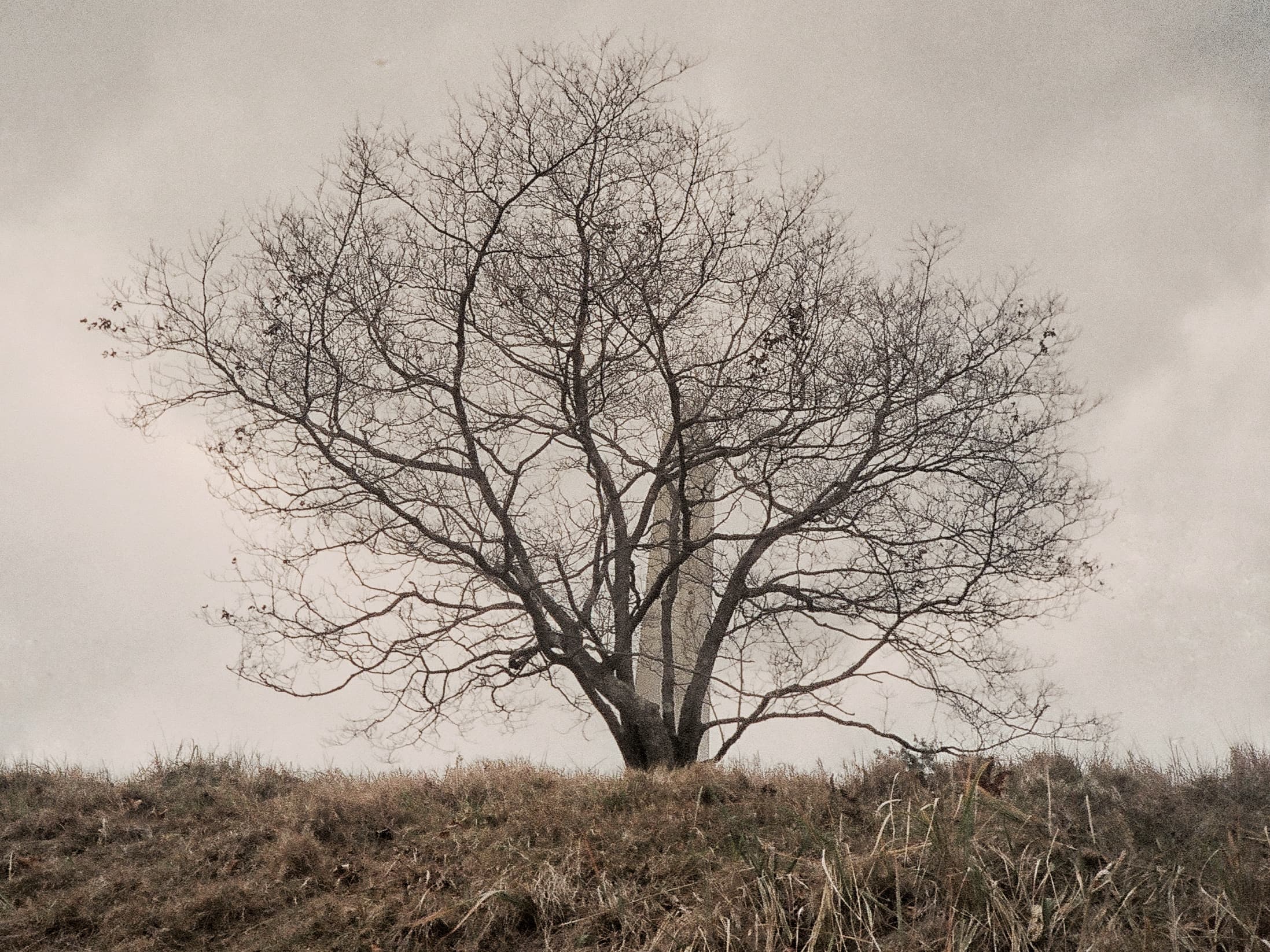 Slide 3 bottom right image